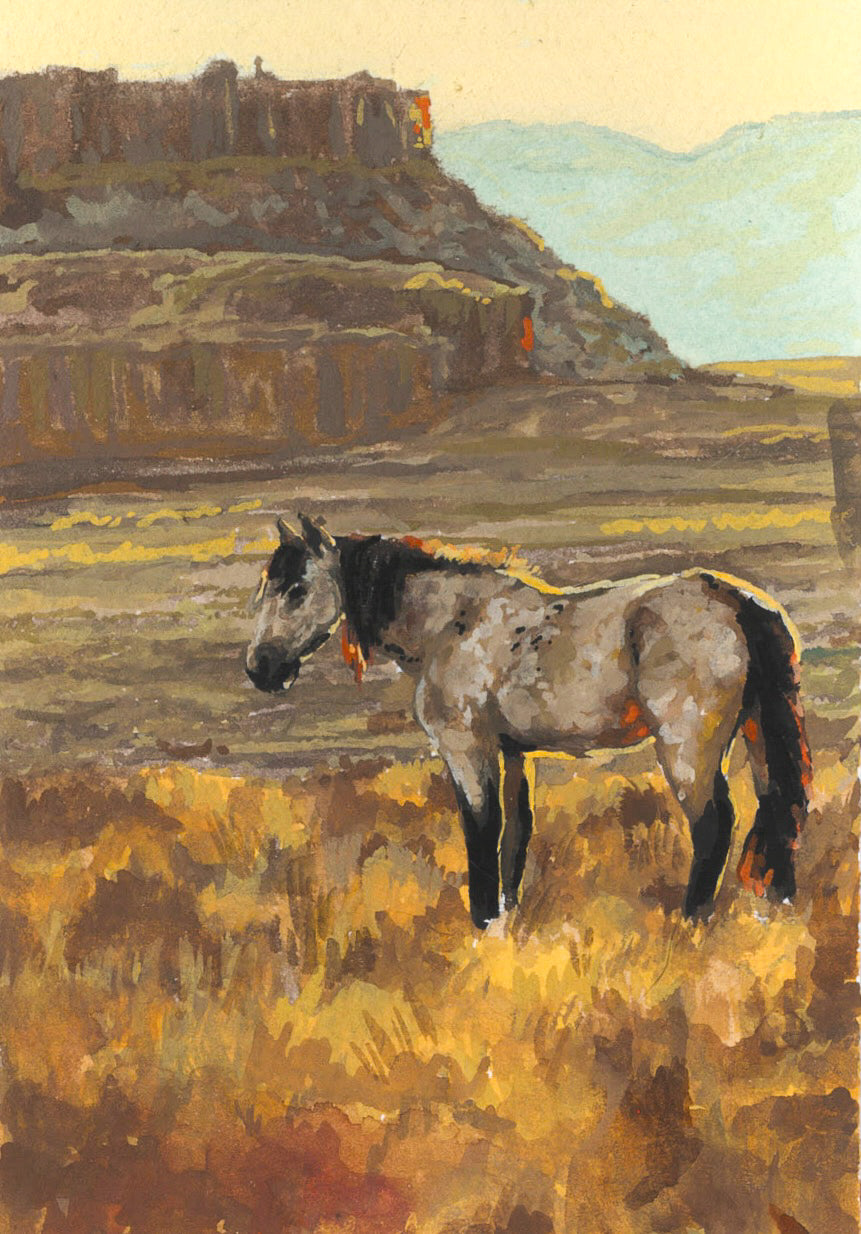 Prairie Mini