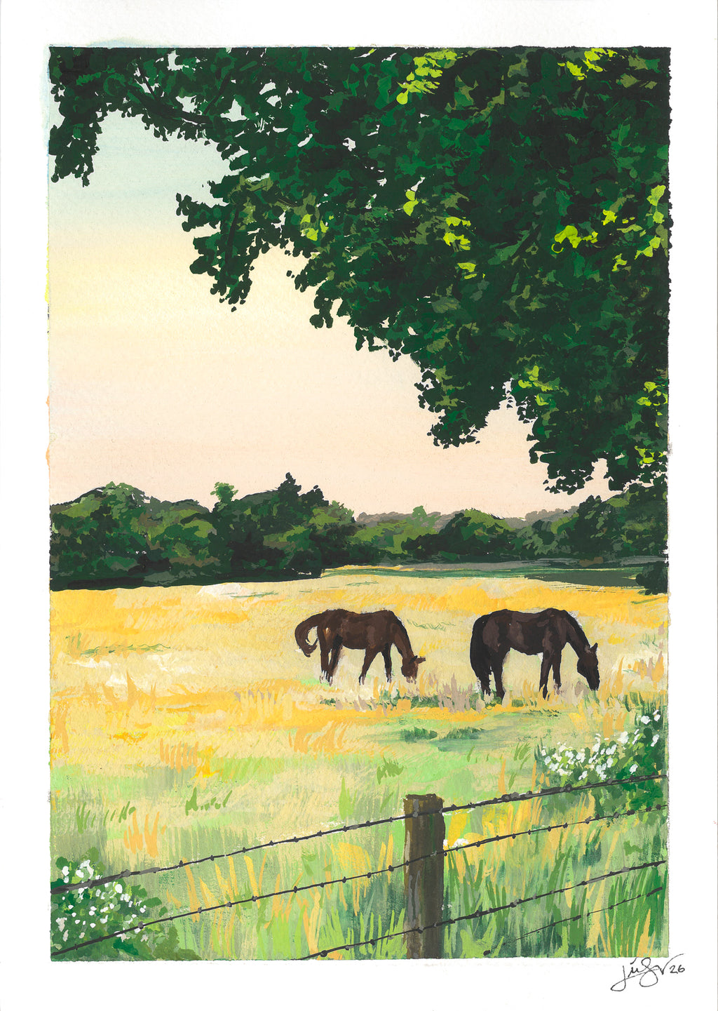 Summer Pasture