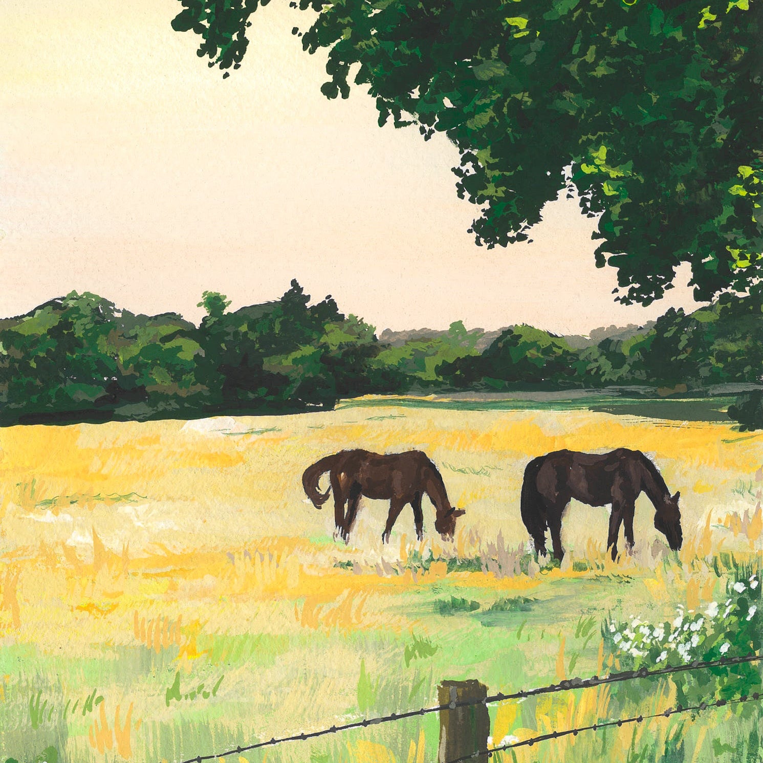 Summer Pasture